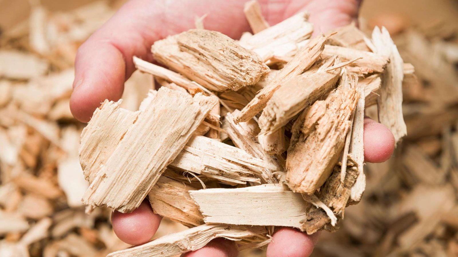 La meilleure alternative aux copeaux de bois pour chevaux