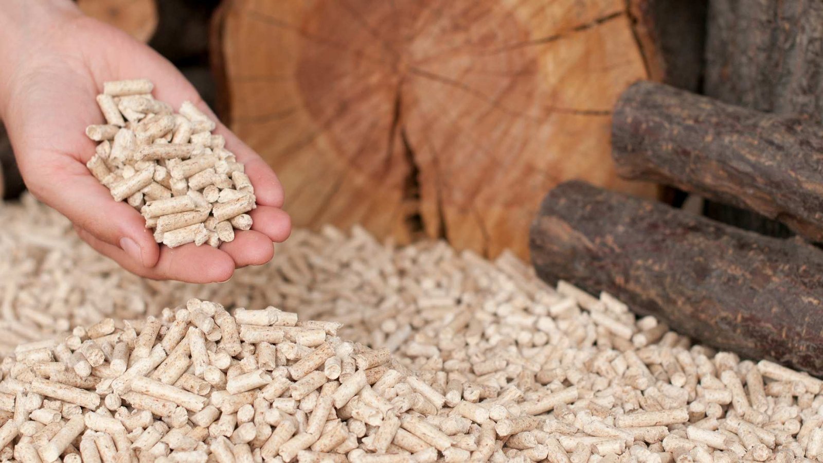 Pellets de bois en litière une alternative économique