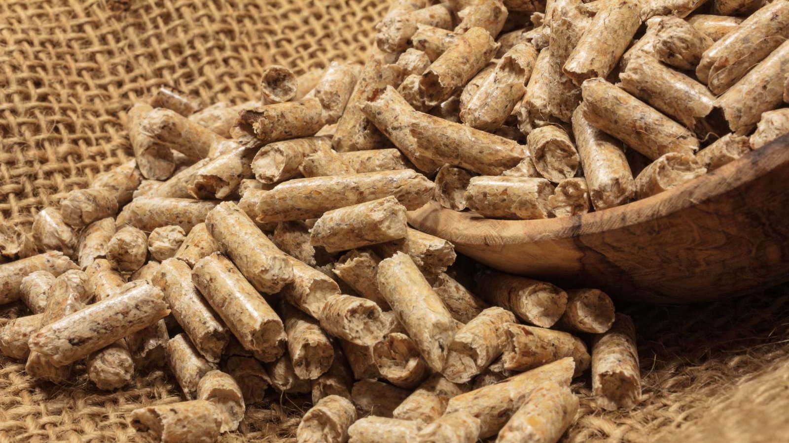 Pourquoi choisir une litière en granulés pour votre lapin ?