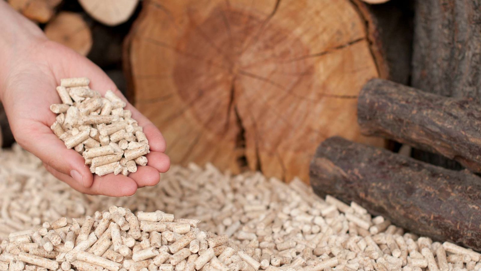Quel est le prix des granulés de bois ?
